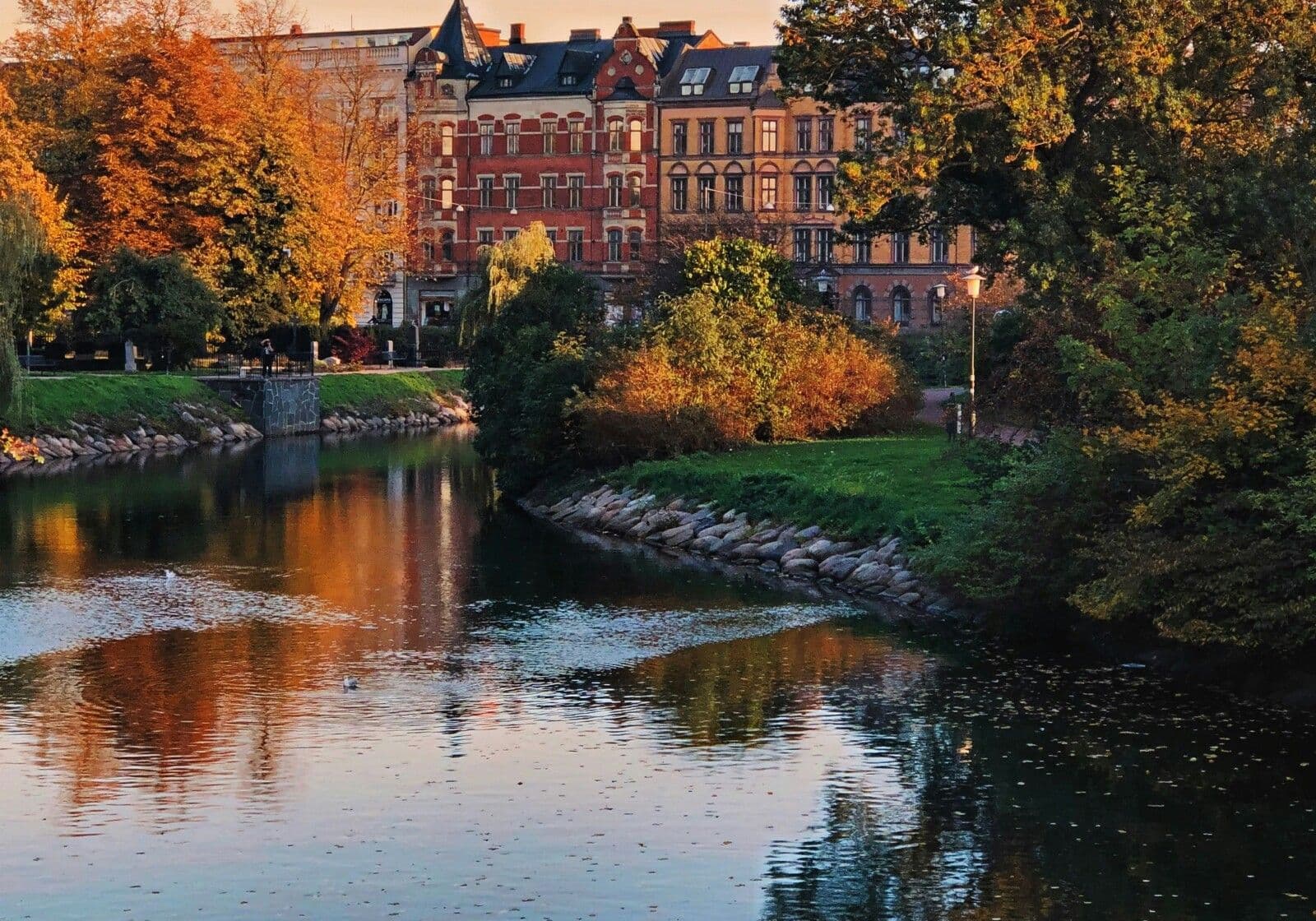 Park in malmø in the fall